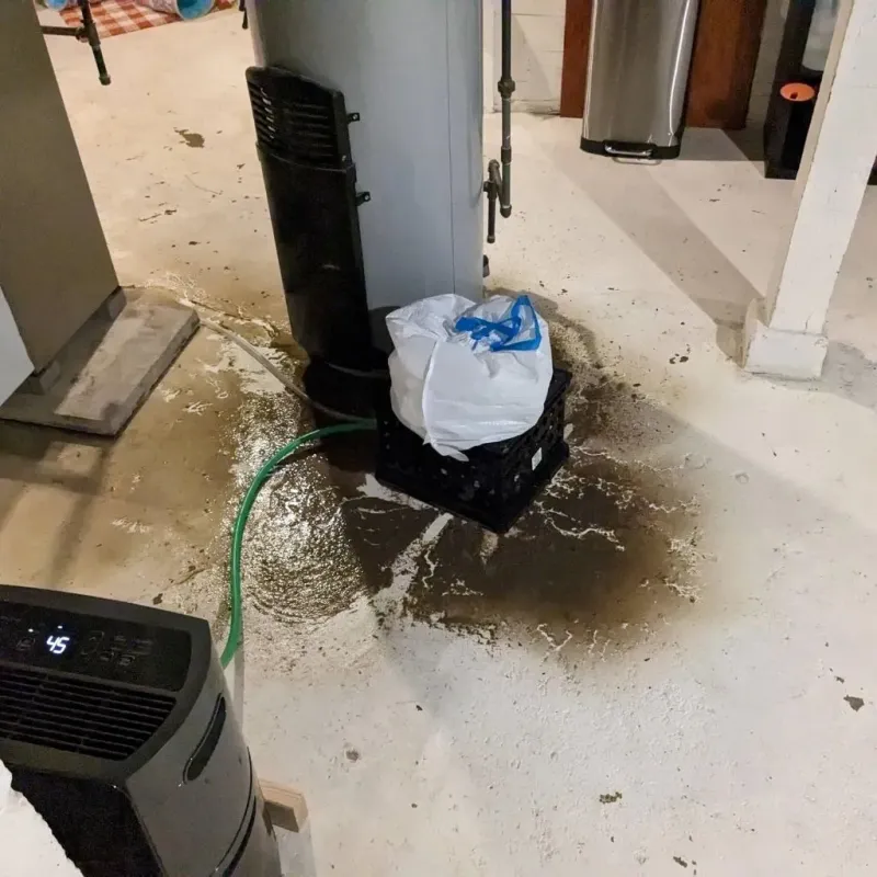 Sewage Backup Cleanup Service in Hopewell, NJ